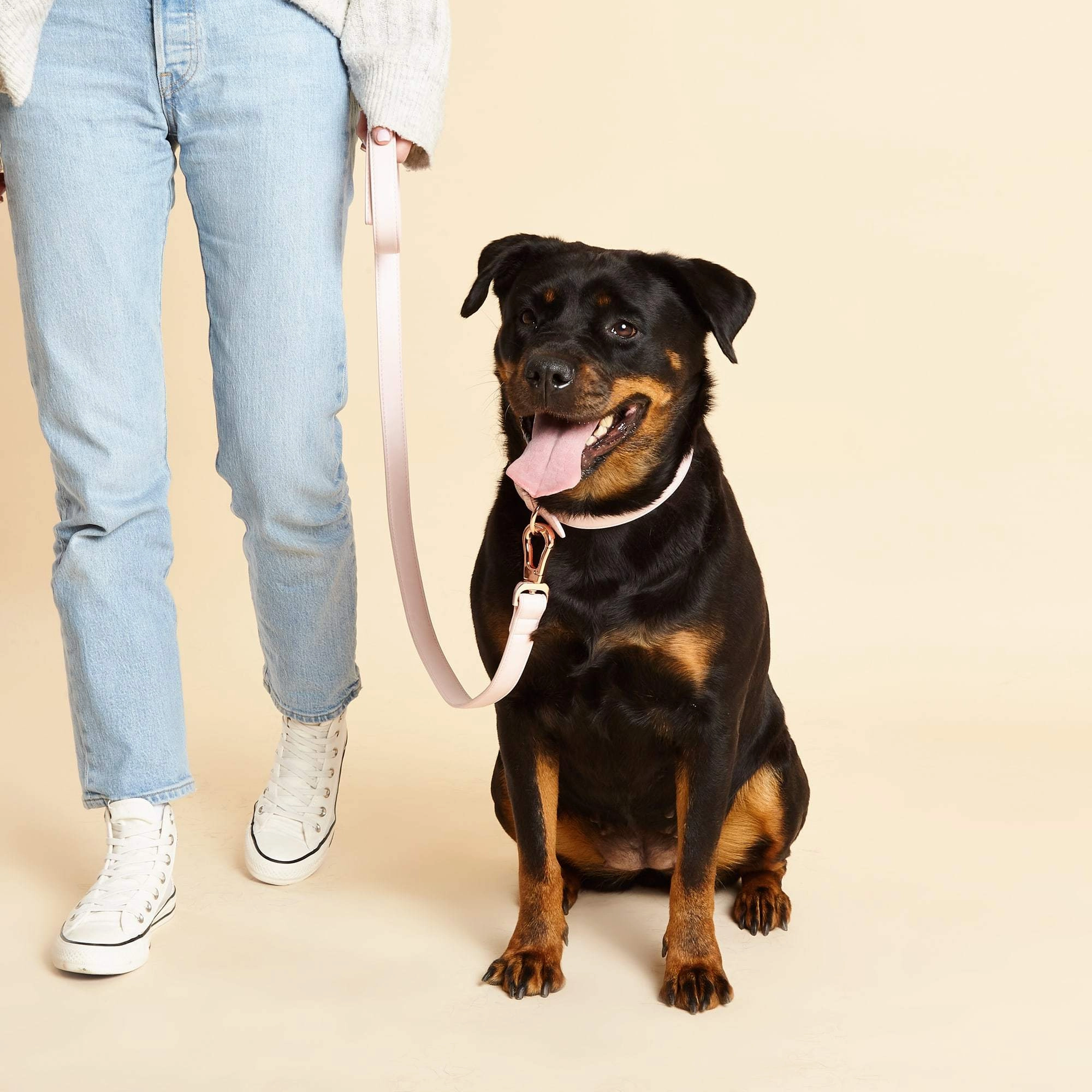 Blush Pink Dog Collar