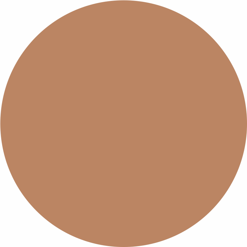 Ritual Skin Foundation Stick Dark