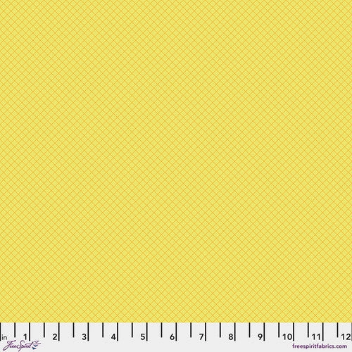 Tula Pink True Colors 2025 On The Grid Highlighter Fabric